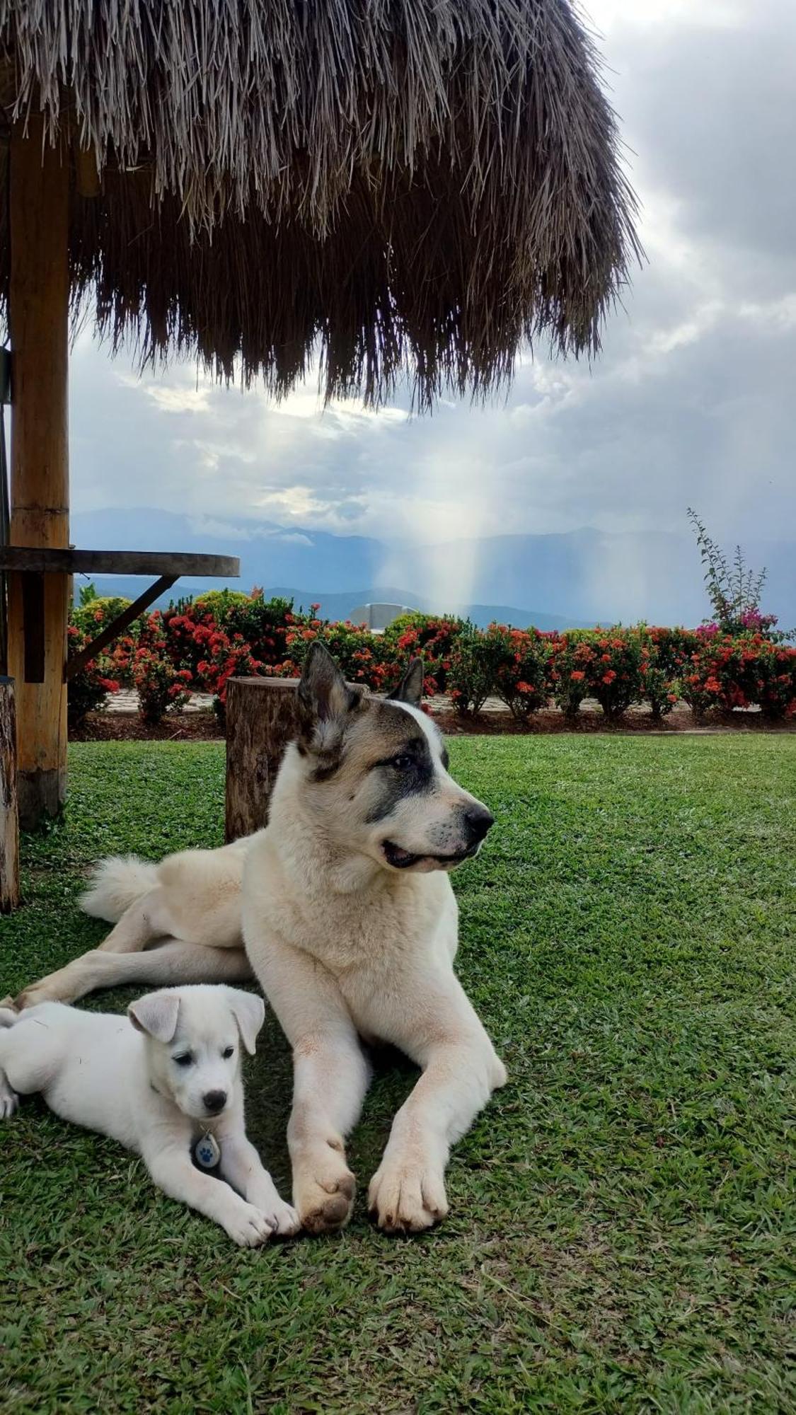 Nalua Glamping Y Hotel San Jerónimo エクステリア 写真